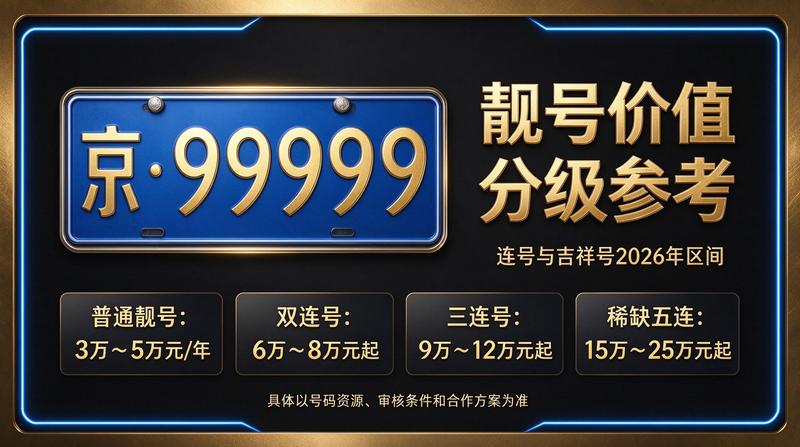 闲置北京租车牌照一年多少钱市场分析图表